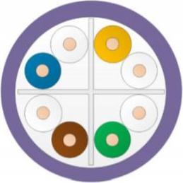 Leviton Kabel U/UTP Cat.6 Eca violett Spule (UTP, CAT6), Cavo di rete