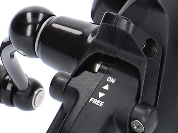 Image du produit Daiwa Black Widow BR LT (5000)