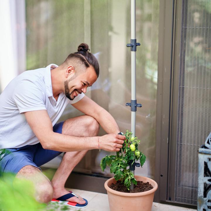 Actual product image Gusta Garden Tomato Buddy Starter (125.10 x 18 x 125.10 cm)