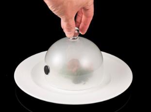 Produktbild 100% Chef Aladin instant smoker 22 cm kunststof