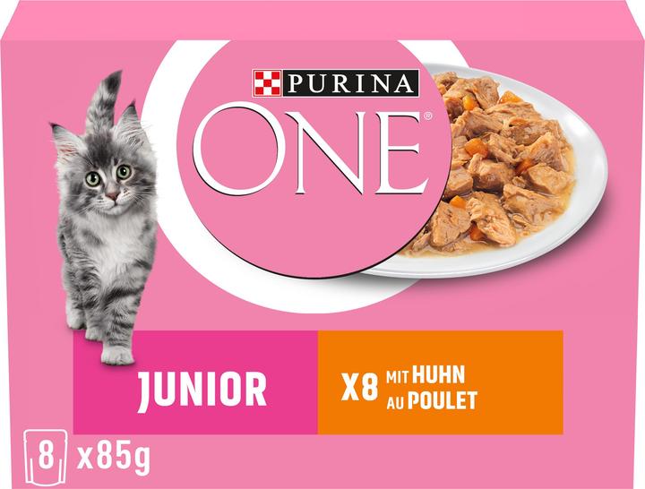 Actual product image Purina ONE Junior (Junior, 8 pcs., 700 g)