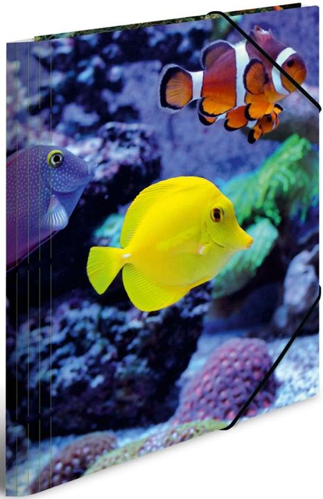 Immagine prodotto HERMA Cartella a motivi A4 (A4, 1 x)