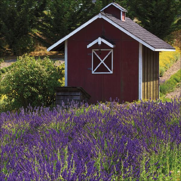 Actual product image Augenblicke der Stille 2026 (30 x 30 cm)