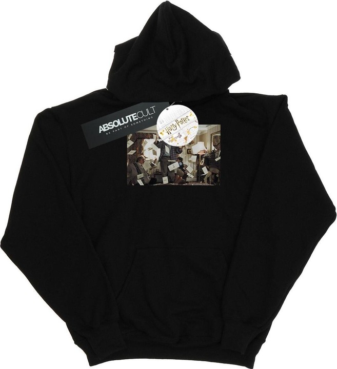 Image du produit - Sweat à capuche LETTER FROM HOGWARTS - Homme (L)