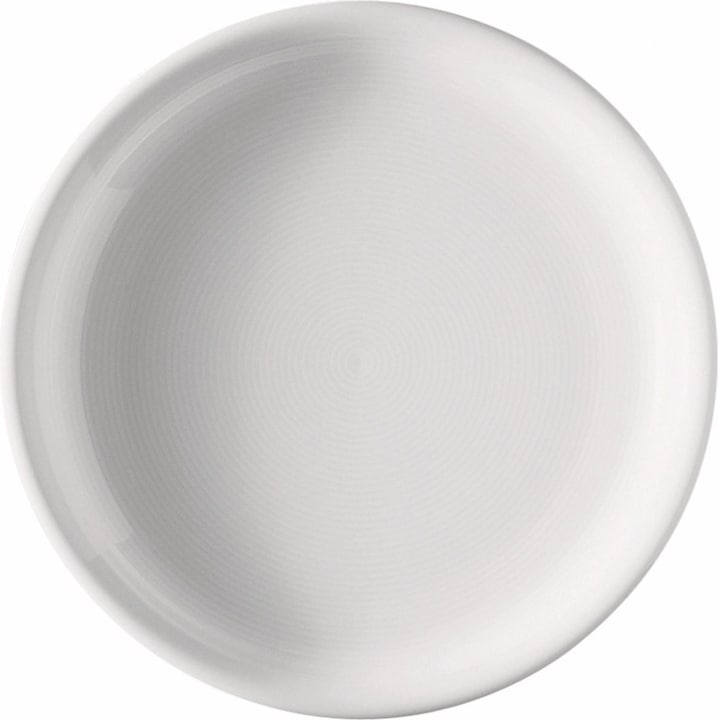 Actual product image Thomas Trend (1 x, 20 cm)