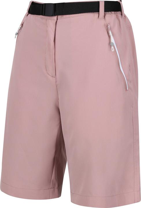 Actual product image Regatta Womens/Ladies Xert Stretch Shorts (34)