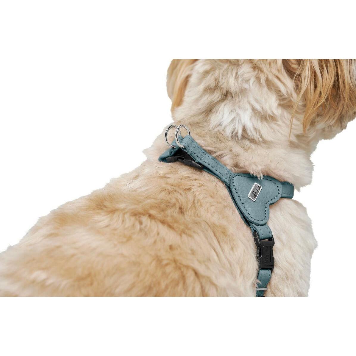 Harnais pour Chien Hunter SOHO MINI Bleu XXS/XS