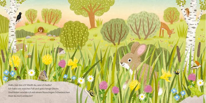 Produktbild Kennst du mich? Ich bin ein Kaninchen! (Deutsch, Andrea Weller-Essers, 2024)