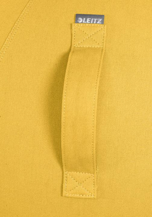 Image du produit Leitz Ballon-siège Ergo Cosy Active (65 cm)