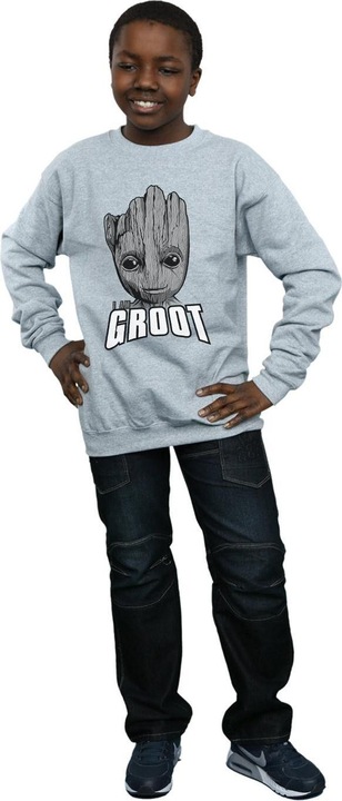 Actual product image Boys Guardians Of The Galaxy Groot Face Sweatshirt (116)