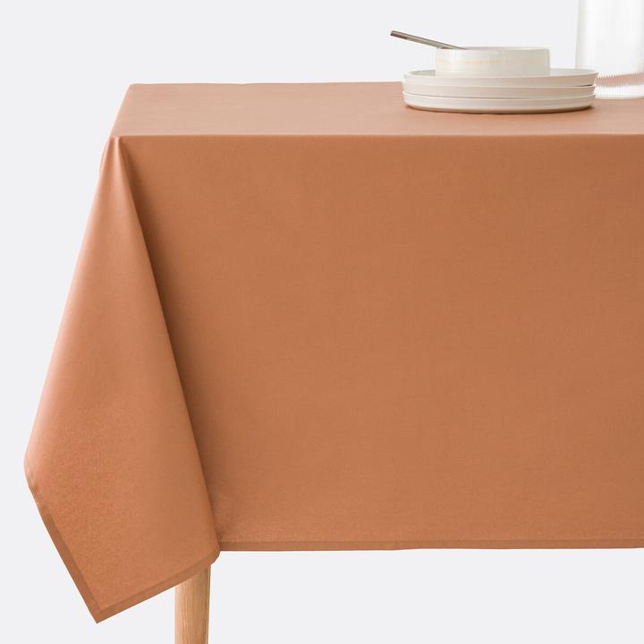 Image du produit La Redoute Interieurs Nouveau Coton Enduit (150 x 300 cm)