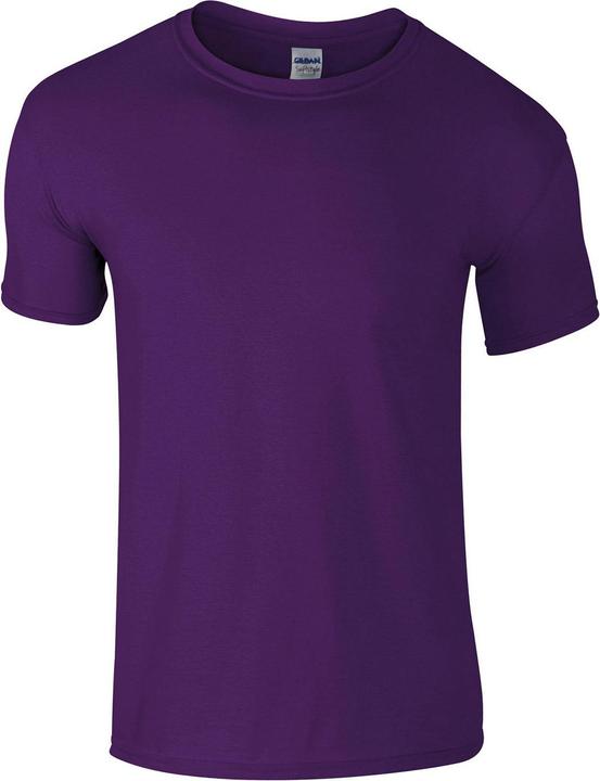Viola