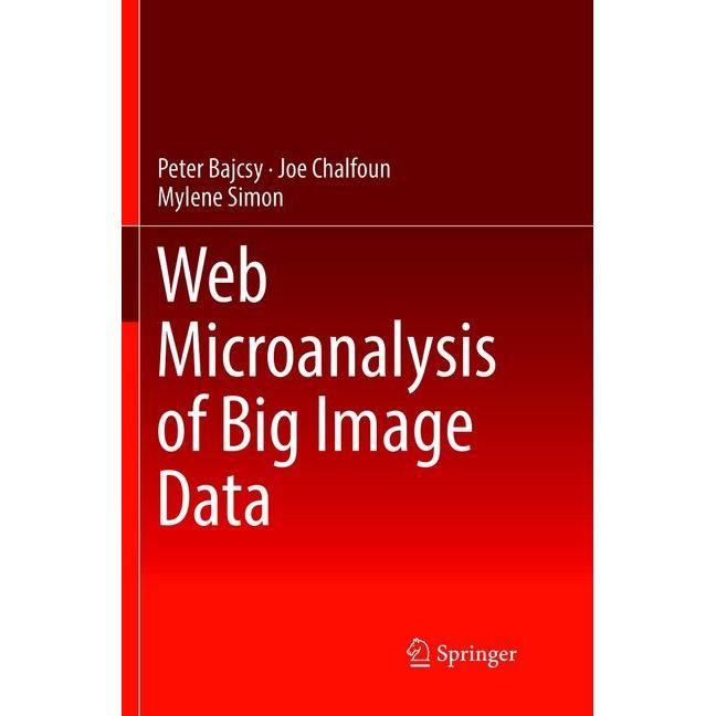 Web Microanalysis of Big Image Data, Fachbücher von Peter Bajcsy, Mylene Simon, Joe Chalfoun