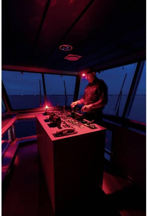 Immagine prodotto Scangrip Lampada frontale Lampada frontale Vista notturna (160 lm)