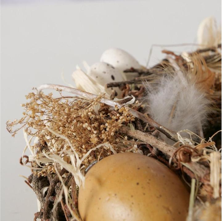 Produktbild Boltze Home Boltze Osterkranz Pascua Natur, 25 x 7.5 cm, Verpackungseinheit