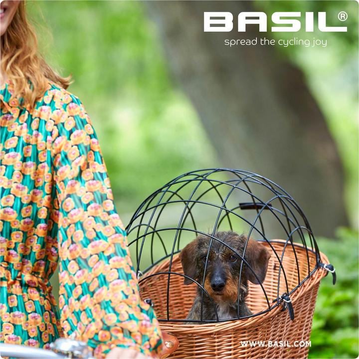 Actual product image Basil Pasja (38 l)