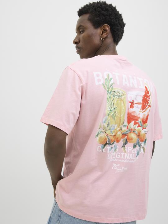 Produktbild Jack & Jones Jorbotaniq Tee Ss Crew Neck Tg Ln (XL)