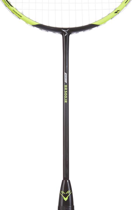 Actual product image Perfly BR500