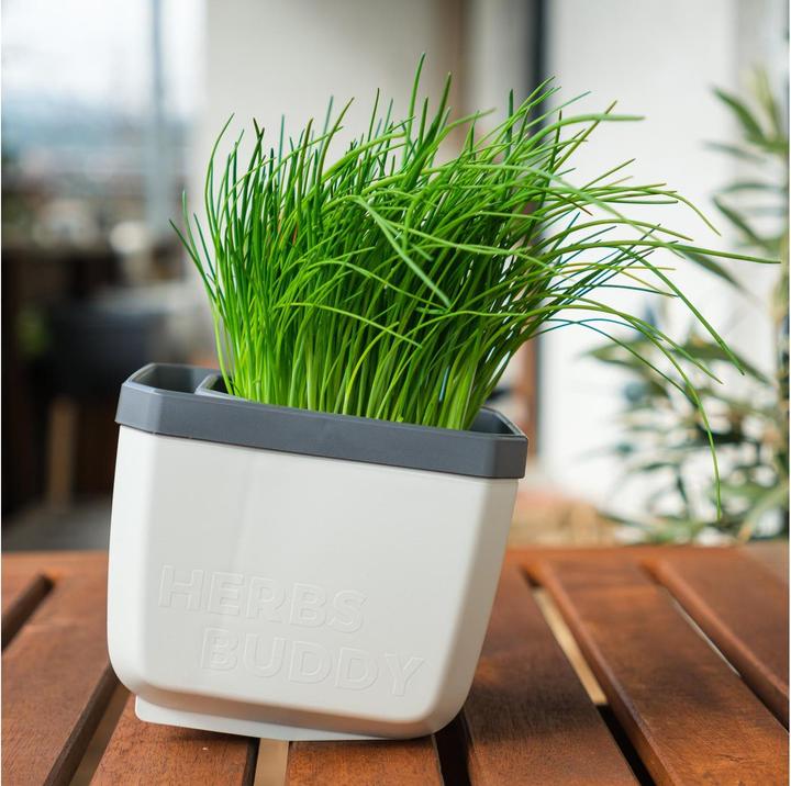 Actual product image Gusta Garden Herbs Buddy (49 x 15 x 14.50 cm)