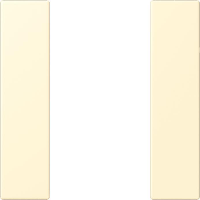 Actual product image JUNG Key set