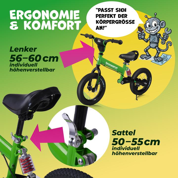 Image du produit Rennmeister Draisienne (12")