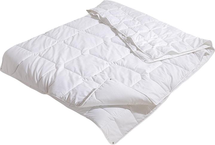 Immagine prodotto Traumschlaf Thinsulate 4 stagioni (410 g, 240 x 220 cm)