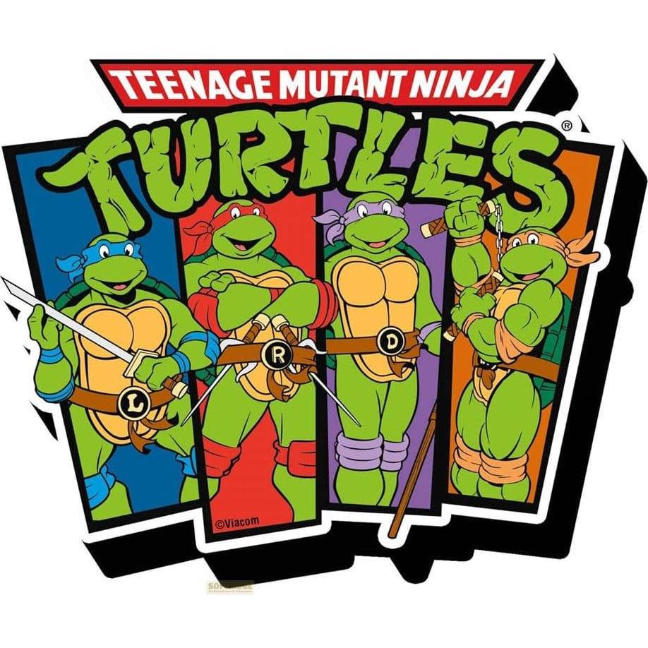 NMR Distribution, Magnet, TMNT: Cast Funky Chunky Magnet (1 x)