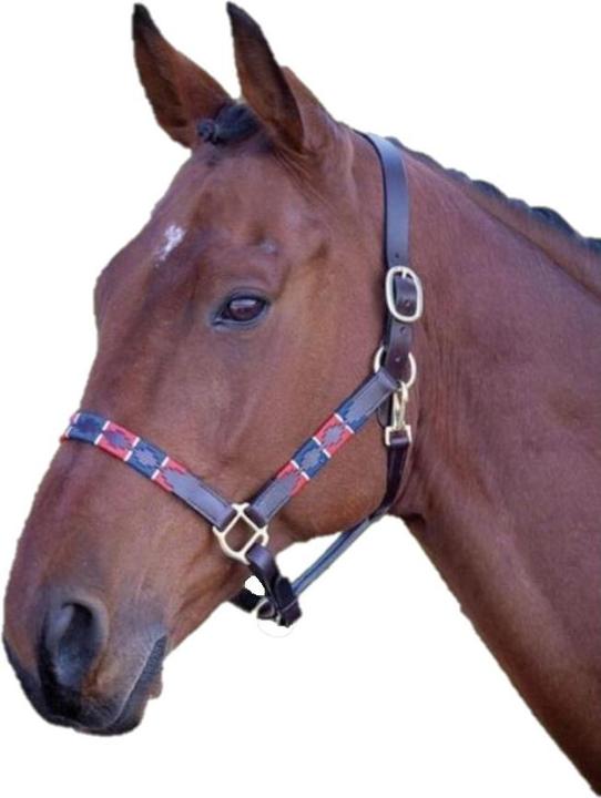 Produktbild Universal Textiles Polo Pferdehalfter Leder
