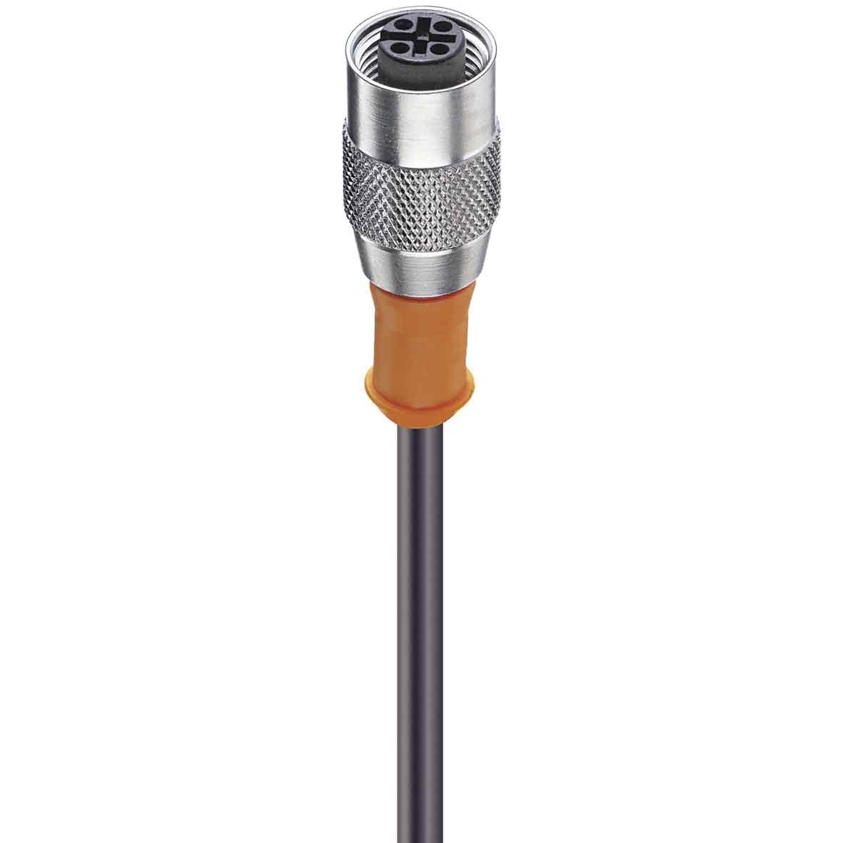 Belden Accoppiamento, Cavo + Spina elettrica, Nero