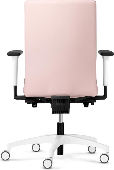 Actual product image Dauphin 4976 SLP2