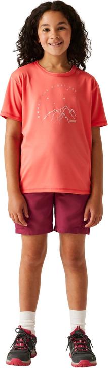 Produktbild Regatta Alvarado IX TShirt (116)