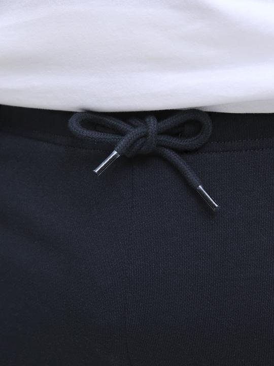 Produktbild Jack & Jones Plus Size Regular Fit Regular Fit Shorts Regular Fit Shorts