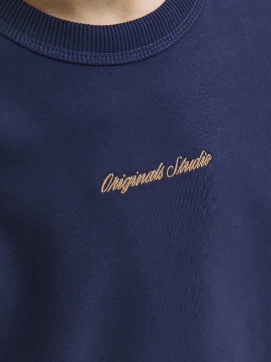 Produktbild Jack & Jones Jornorrebro Emb Sweat Crew Noos Jnr (164)