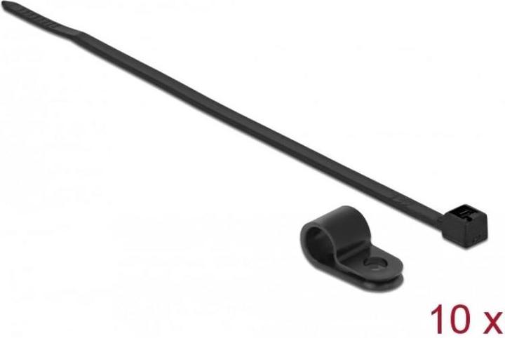 Immagine prodotto Delock Kit di fascette - 25 cm - Nero (250 mm, 10 pz.)