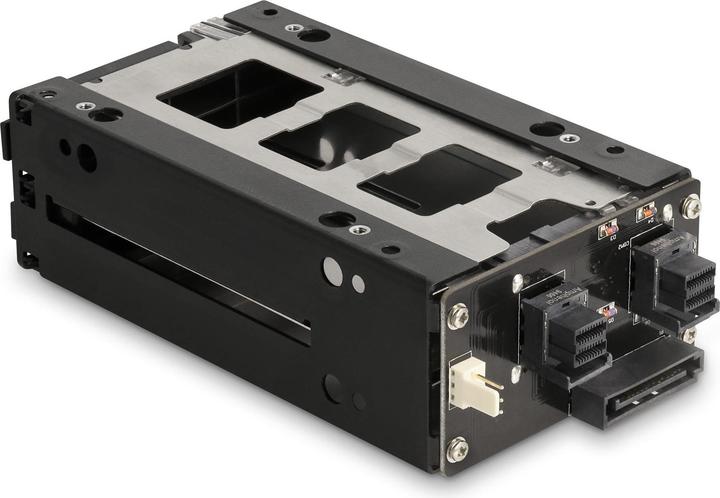 Actual product image Delock Slim Bay removable frame for 2 x 2.5? U.2 NVMe SSD with 5.25? Frame