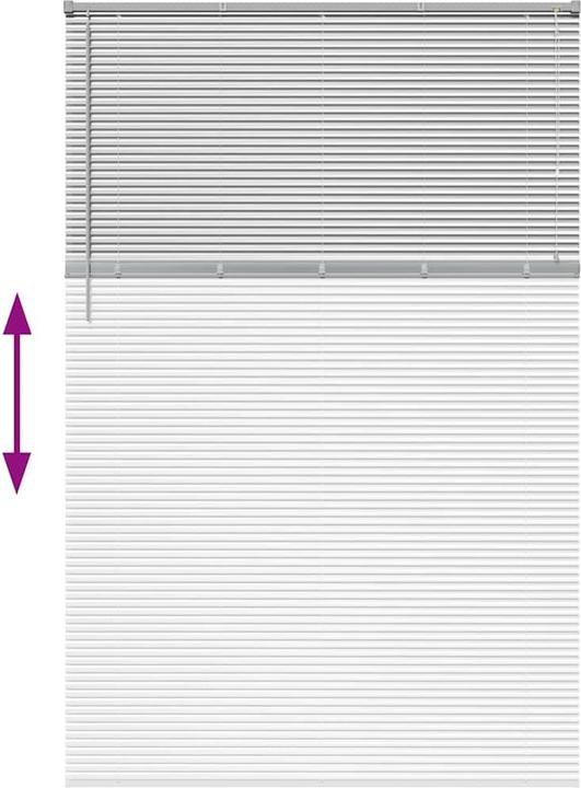 Immagine prodotto VidaXL Tende per finestre (150 x 220 cm)