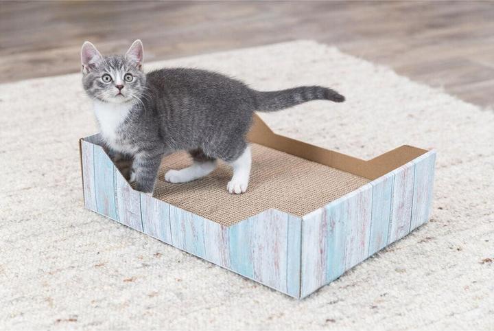 Actual product image Trixie Scratching bed (33 cm, Turquoise)