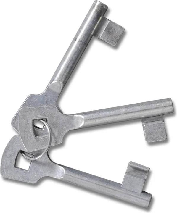 Image du produit vidaXL Gartentor