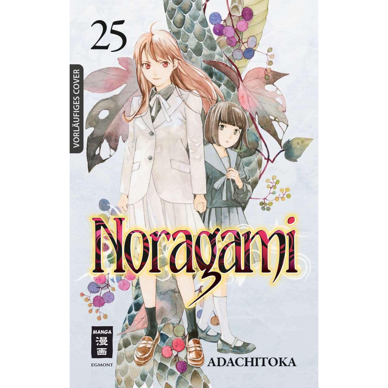 Noragami 25, Belletristik von Ai Aoki, Adachitoka