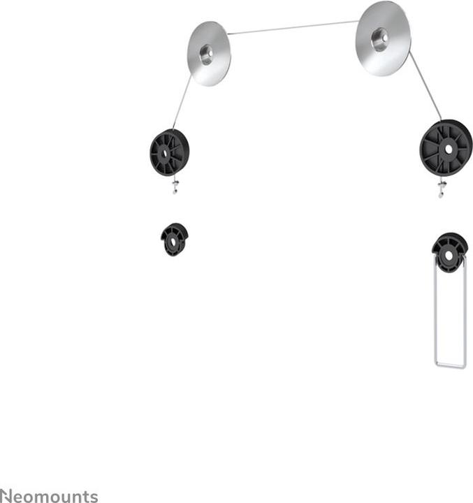 Actual product image Neomounts Plasma W800 (Wall, 55", 20 kg)
