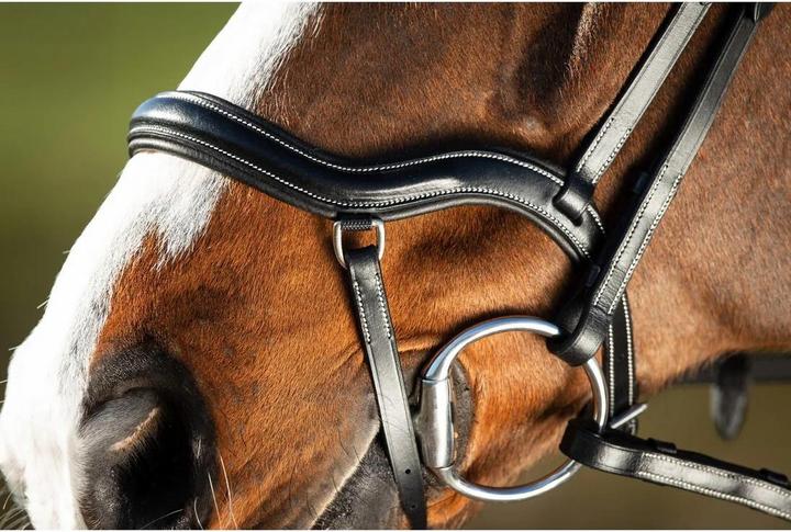 Produktbild HFI Master Techno