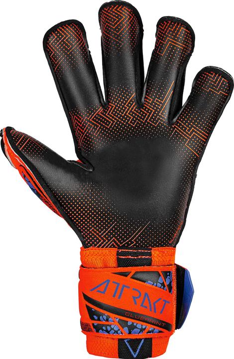 Actual product image Reusch Attract Gold X (7.5)