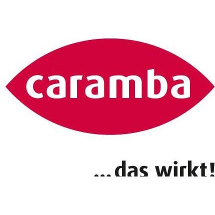 Caramba Starthilfespray 610213 300 ml, PC Netzteil