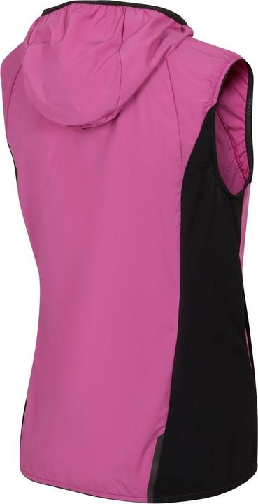 Actual product image Directalpine Element Lady 1.0, Weste, Damen (Athletic Fit) - Direct Alpine, 300 (L)