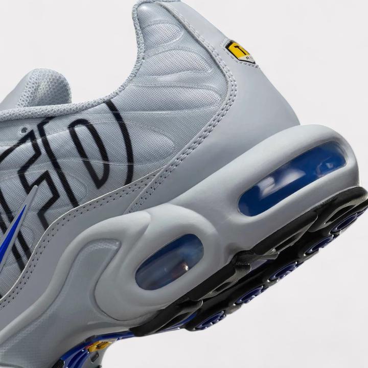 Actual product image Nike Air Max Plus (42)
