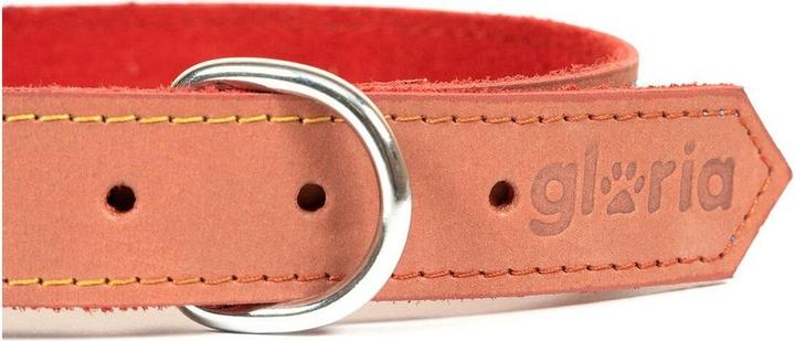 Immagine prodotto Gloria Collare per cani Oasis rosso (35 x 1,2 cm) (Pelle nabuk, 35 cm)