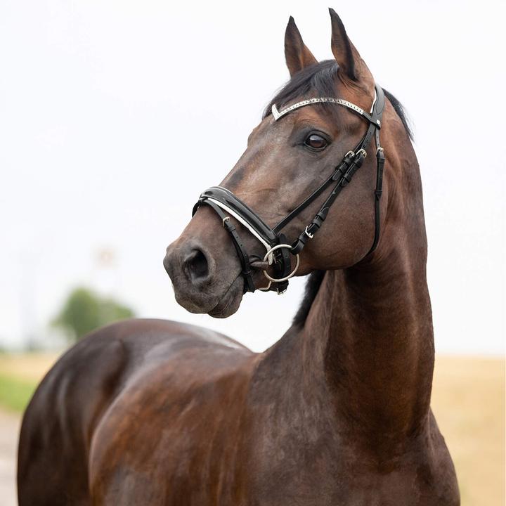 Produktbild Horze Grayson