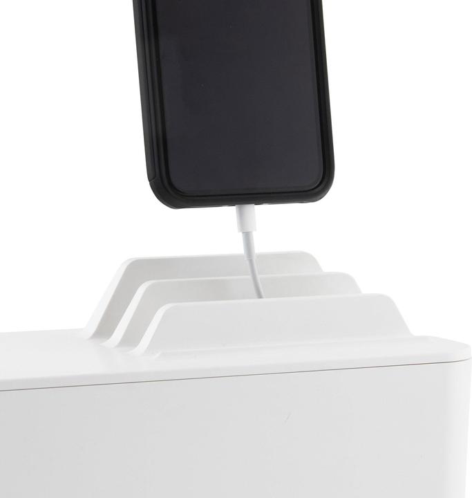 Actual product image BlueLounge Mini Station