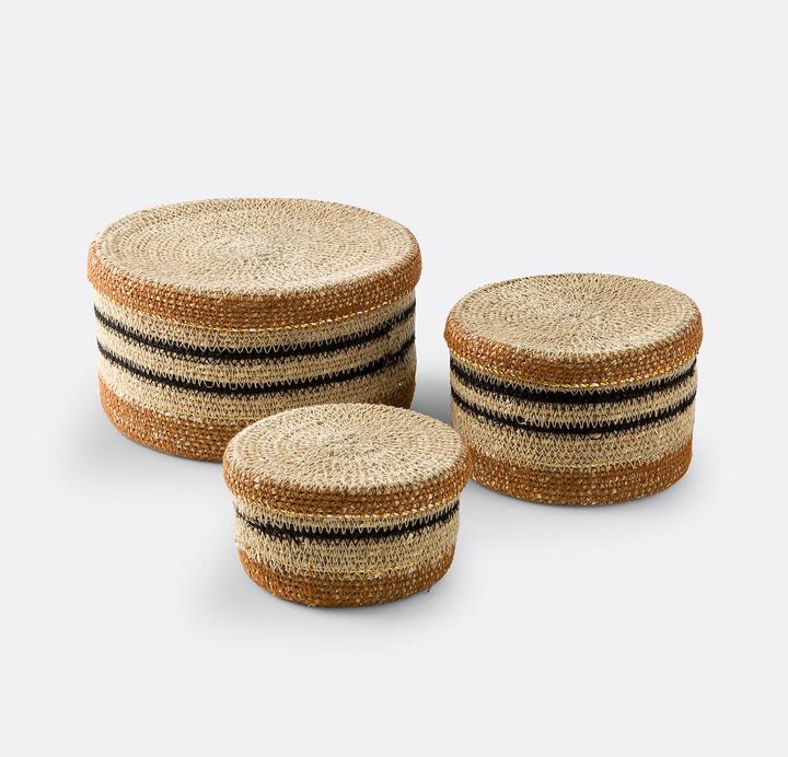 Brown, Marrone, Strisce nere