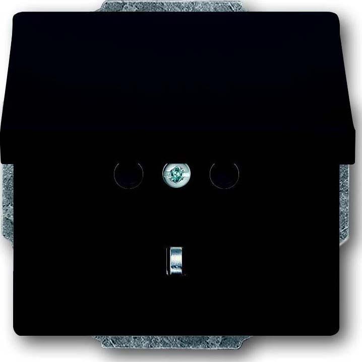 Immagine prodotto Busch-Jaeger Presa